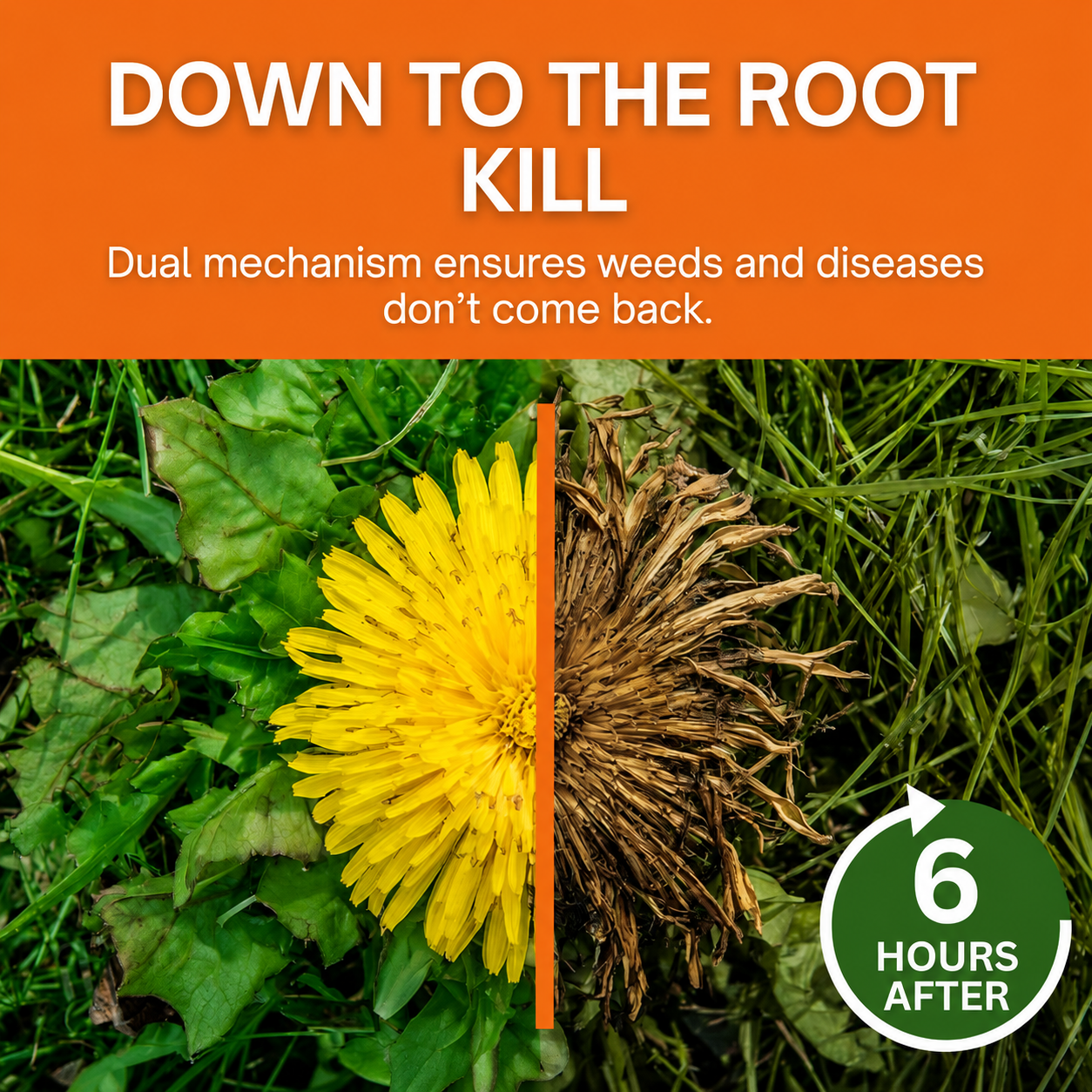 2-in-1 Max Power Herbicide PRO