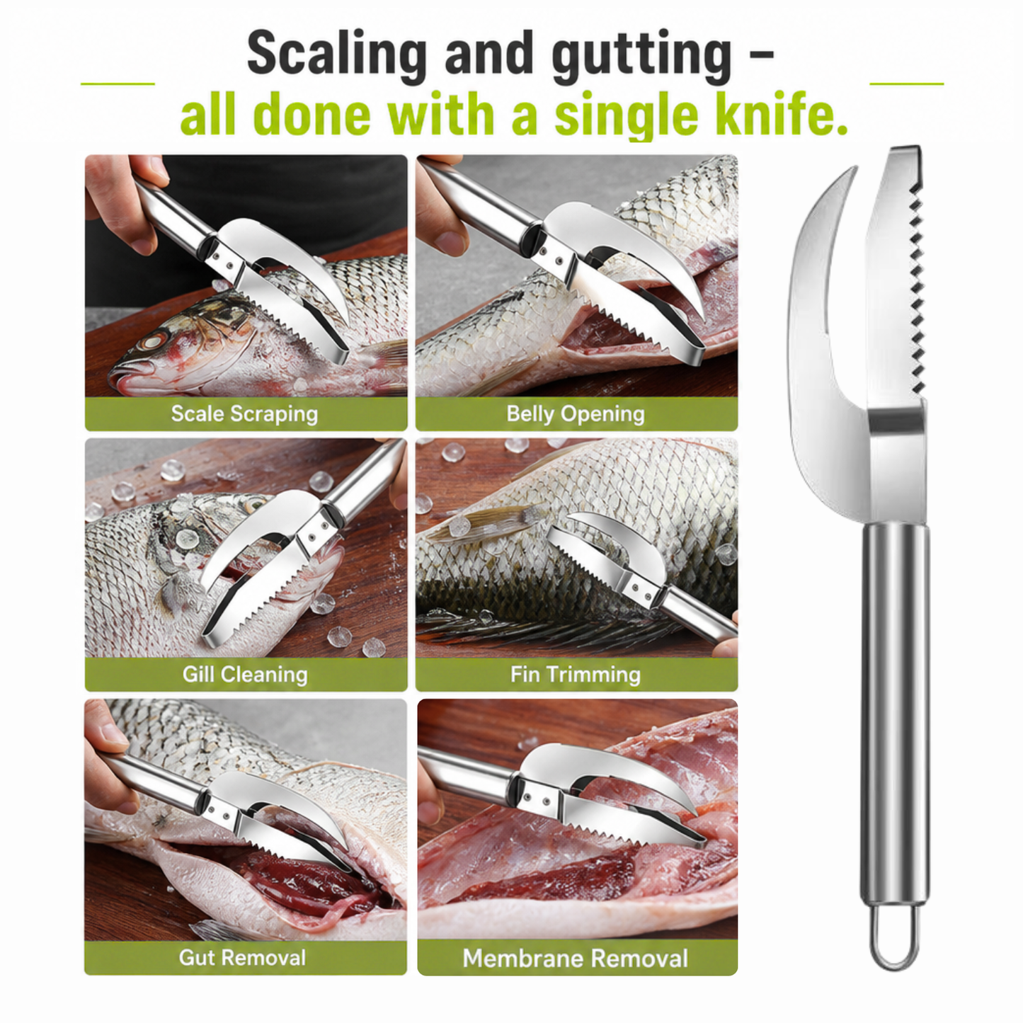 Fish Scales Scraping Tool