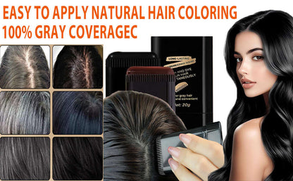 2-in-1 Hair Color Stick & Comb