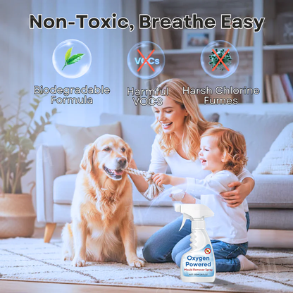 Oxygen Powered Mould Remover Spray